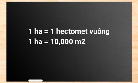 1 ha bằng bao nhiêu m2