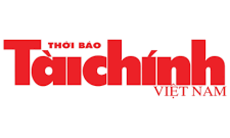 Báo tài chính bao gồm những gì?