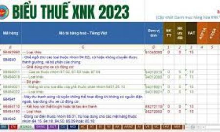 Biểu thuế xuất nhập khẩu 2023