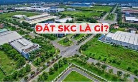 Đất SKC là gì?