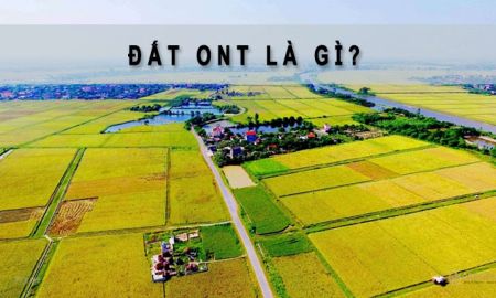 Đất Ont là gì 