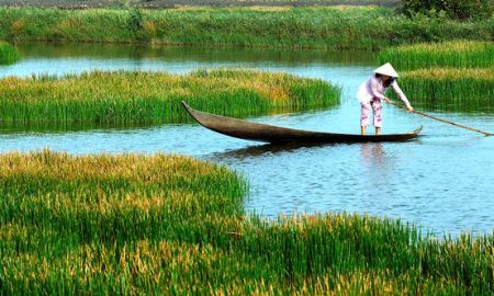 Đất Cà Mau