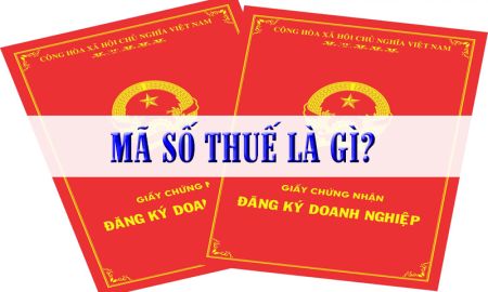 Mã số thuế doanh nghiệp