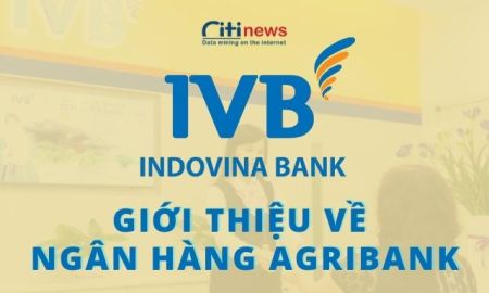 Ngân hàng Indovina: Bước tiến vượt bật trong ngành ngân hàng Việt Nam