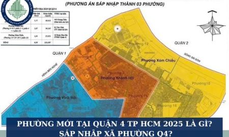 Cập Nhật Thông Tin Các Phường Tại TP.HCM Sau Khi Gộp Phường
